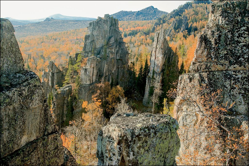 Inzerskiye Zubchatky (Tirlyanskiy) Инзерские зубчатки
